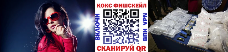 Купить закладки  Новомичуринск  COCAIN Fish Scale 