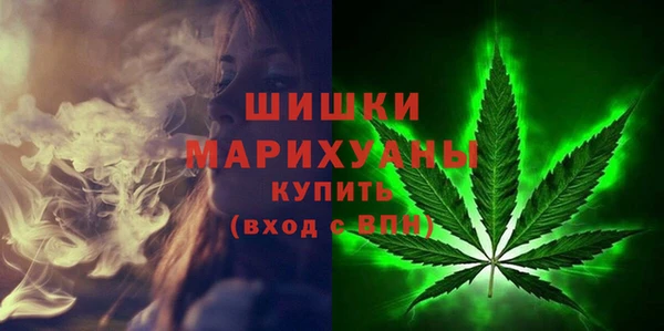 Альфа ПВП Гусев