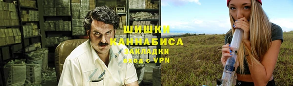 Альфа ПВП Гусев