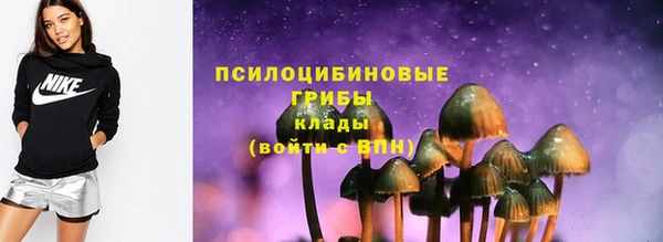 Альфа ПВП Гусев