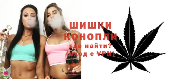 дмт Гусь-Хрустальный