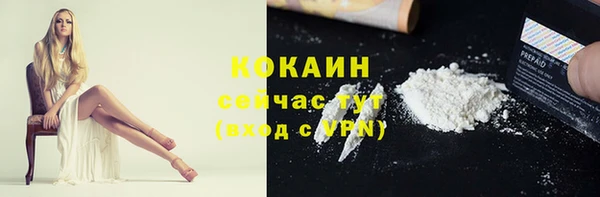 дмт Гусь-Хрустальный