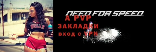 прущие крисы Гусиноозёрск