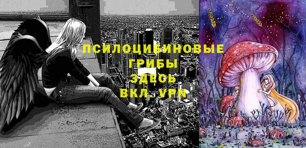 прущие крисы Гусиноозёрск