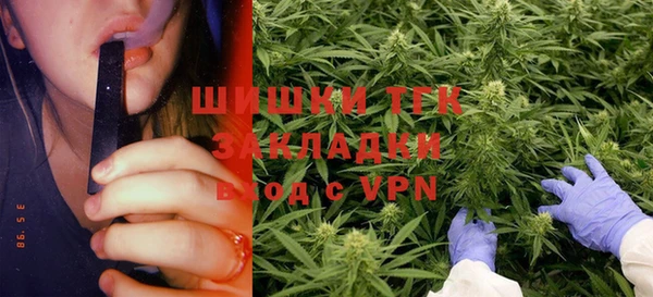Альфа ПВП Гусев
