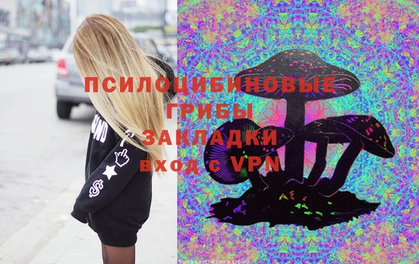 дмт Гусь-Хрустальный
