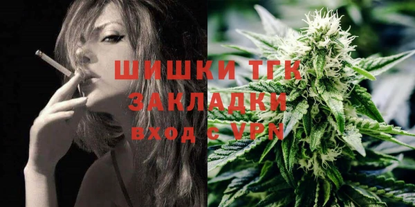 Альфа ПВП Гусев