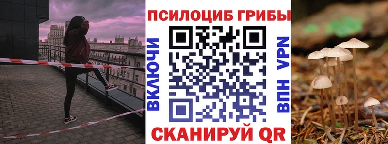 Купить закладки  Новомичуринск  Псилоцибиновые грибы мухоморы 